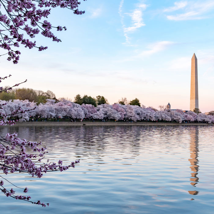 Washington memorial in D.C.