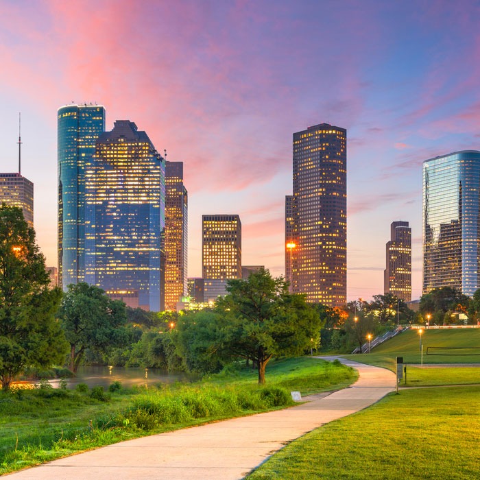 Houston park and skyline