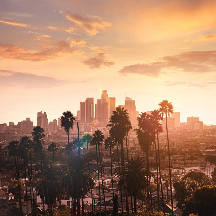 Los Angeles skyline with palm trees