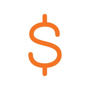 payroll icon