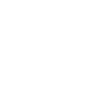 puzzle pieces icon