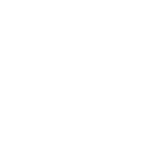 world heart icon