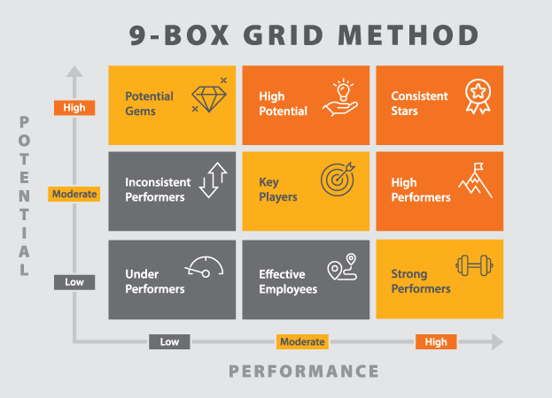 9 box grid method comparing potential and performance