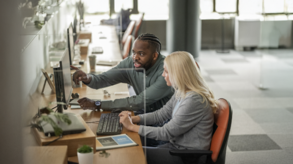 employees using an embedded software on a computer