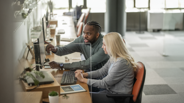 employees using an embedded software on a computer