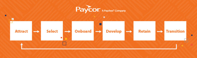 flowchart of the talent managemetnt process