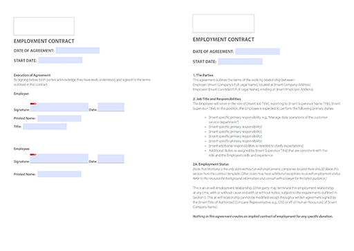 preview of the customizable work contract template