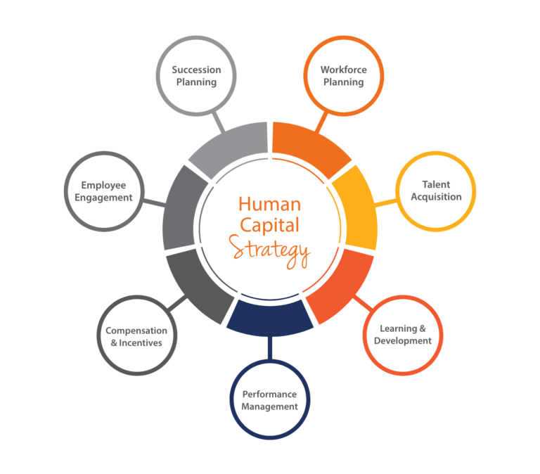 human capital strategy framework wheel diagram
